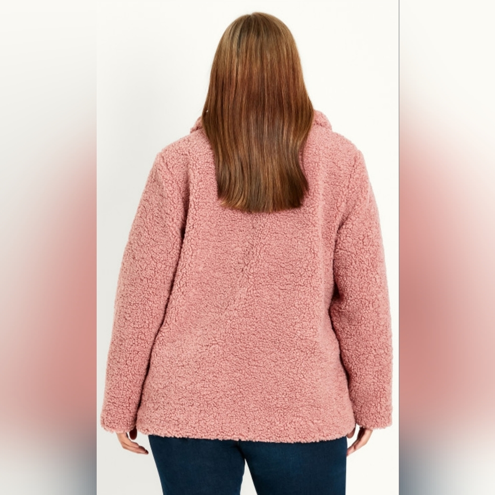 Teddy Shacket - image 2